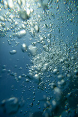 Air bubbles underwater