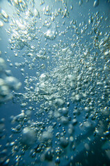 Obraz premium Air bubbles underwater