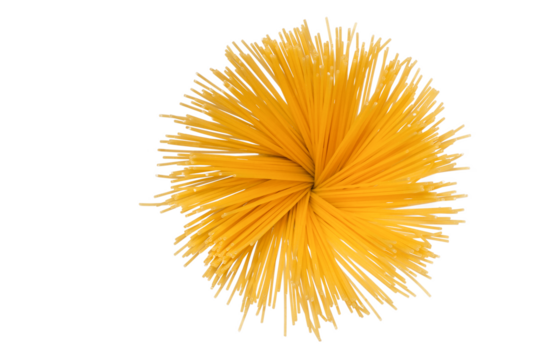 spaghetti isolated, png file