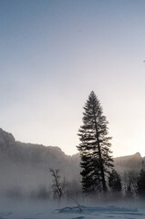 Yosemite valley is enshrouded in a thin layer of mist hanging over the merced river, providing an...
