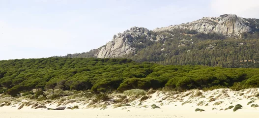 Papier Peint photo Plage de Bolonia, Tarifa, Espagne La plage naturelle et sauvage de Bolonia longue de 4 kilomètre, située dans le parc naturel El Estrecho, à une vingtaine de kilomètres au nord de Tarifa, dans la province de Cadix, en Espagne