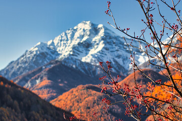 view of the Chaberton in autumn from Oulx