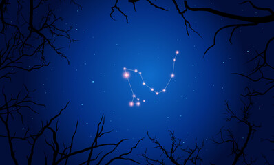 Vector illustration of constellation Dracoon the background of a starry sky and tree branches. Constellation scheme collection © iryna