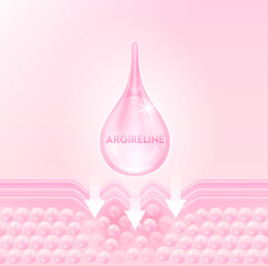 Serum oil drop Argireline collagen through the skin cell layer for repair wrinkles. Beauty treatment nutrition skincare design. Medical and scientific concepts. 3D Realistic Vector EPS10.