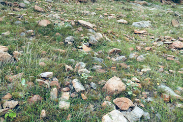 Grass on the ground. Winter landscape.