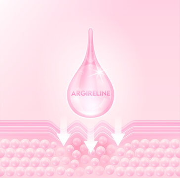 Serum oil drop Argireline collagen through the skin cell layer for repair wrinkles. Beauty treatment nutrition skincare design. Medical and scientific concepts. 3D Realistic Vector EPS10.