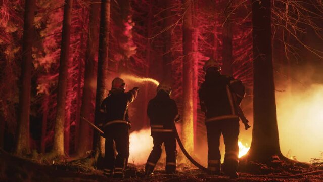 Experienced Firefighters Extinguishing a Wildland Fire Deep in a Forest. Professionals in Safety Uniform and Helmets Spraying Water from Firehose to Battle a Dangerous Wildfire. Footage from the Back.