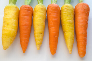 2色のにんじん（黄色とオレンジ）