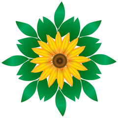 yellow sunflower with green leaves and brown center