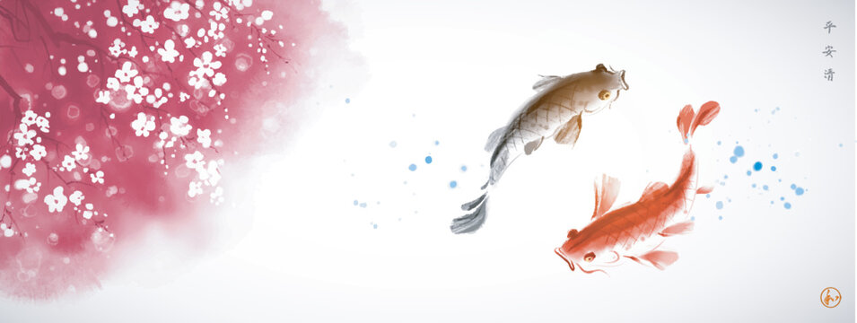 Couple of koi carps swimming under the pink blooming sakura tree. Traditional oriental ink painting sumi-e, u-sin, go-hua. Hieroglyphs - peace, tranquility, clarity, harmony