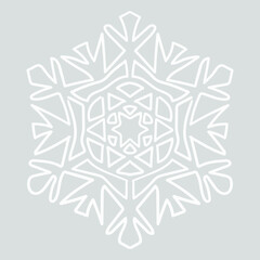 Snowflake. Snow. Winter picture. Cold colors