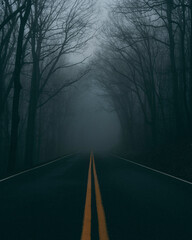 Spooky road into foggy woods