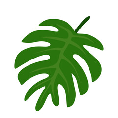 Tropical Leaf Illustration