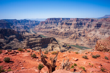 Grand Canyon, Arizona, USA