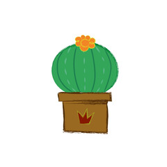 cactus in a flowerpot