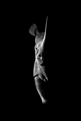 Zelfklevend Fotobehang Mono black rhino side-lit staring towards camera © Nick Dale