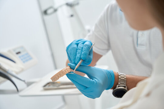 Dentist demonstrating dental plaque on maxilla model to patient