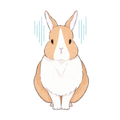 茶うさぎ　ダッチ　表情（哀）