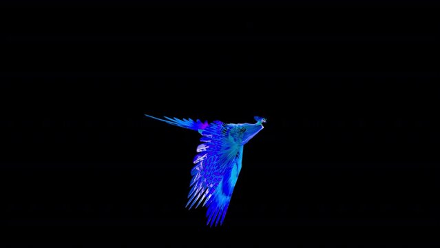 Blue Phoenix Bird - Flying Loop at Side View - Isolated 3D Animation with Alpha Channel