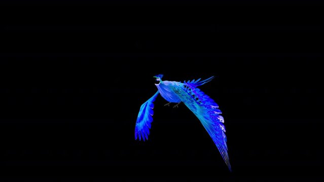 Blue Phoenix Bird - Flying Loop - Side Angle View - Isolated 3D Animation with Alpha Channel