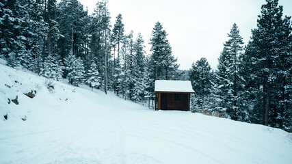 Small winter cabin on the side of a snow covered slope in Rocky Mountains, Colorado - blue green red white tinted travel vibes
