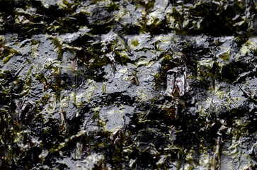 Obraz premium 焼き海苔