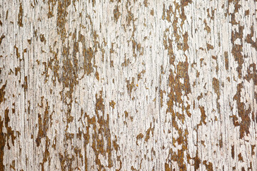 light color wooden background for copy space,