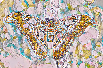 Mariposa gigante Atacus Atlas