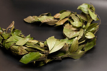 Wreath of laurel leaves on black background Dried laurel leaf seasoning