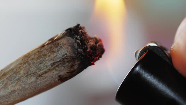 Close up of woman lighting marijuana joint at home, macro shot of CBD medical marijuana weed with fire. 