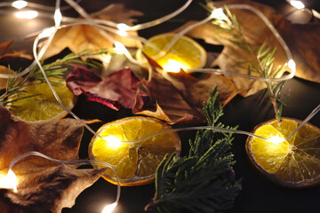 dry leaves from trees, slices of orange, twigs from conifers on which a decorative light chain shines