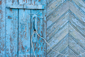 Close-up of a fragment of an old wooden door. There are remnants of blue paint and a door handle attached with curved nails. Background. Texture.
