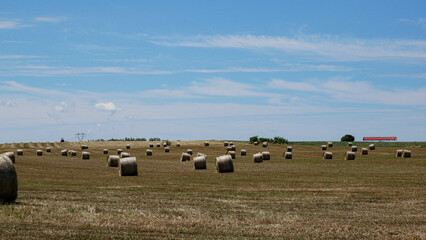 Landscape of Italy, Tuscany and Lazio, with blue sky and hay bales in a rural context