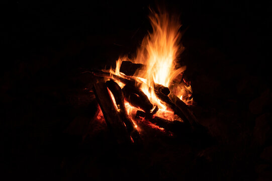 night bornfire on the beach 