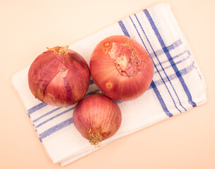 Oignons ros&eacute;s de Roscoff (Bretagne), France