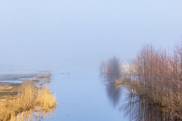 River in morning mist at spring