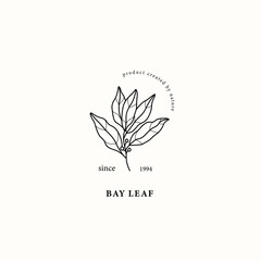 Line art laurel bay branch illustration