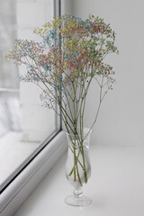 Gypsophila flowers on window