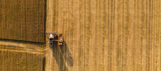 Combine harvester on the field at sunset. Aerial view	