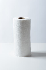 Paper towel on a white background.
