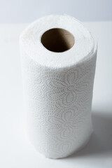 Paper towel on a white background.