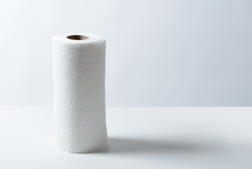 Paper towel on a white background.