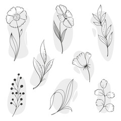 set of flowers in hand drawn style 