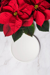 Christmas poinsettia with white plate placemat on marble background