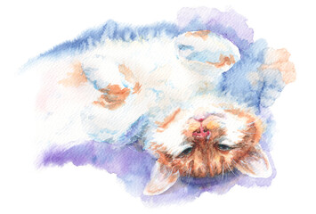 Cute funny white cat with ginger spots lying upside down on back. Realistic watercolor illustration with paper texture and gentle background. Furry pet. Soft watercolor drawing.