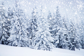 magical frozen winter landscape with snow covered fir trees