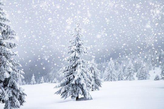 magical frozen winter landscape with snow covered fir trees
