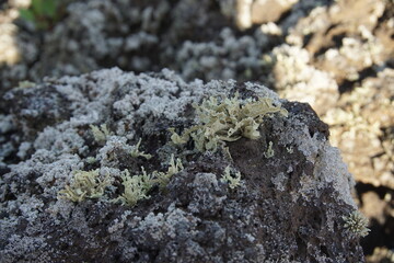 volcanic landscapes of lanzarote, photographed in november 2022. trekking day trip. Crater, volcano, sea of lava, solidified lava, landscape, sony a6000, likens