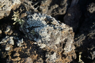 volcanic landscapes of lanzarote, photographed in november 2022. trekking day trip. Crater, volcano, sea of lava, solidified lava, landscape, sony a6000, likens