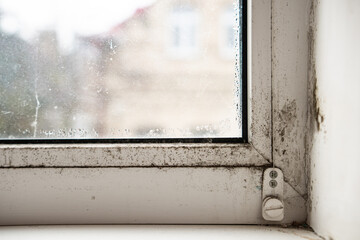 Fungus on the window and walls from excessive moisture in winter. The problem of ventilation,...